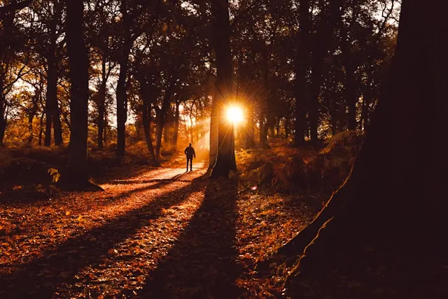 Substance Abuse Counseling